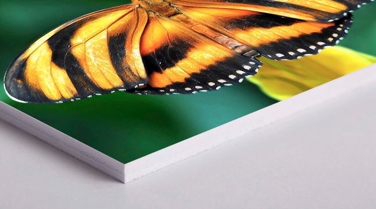 Printed Foamex Rigid Foam PVC Boards in 5mm Thickness
